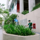 Thi Công Cảnh Quan Sân Vườn TP.HCM