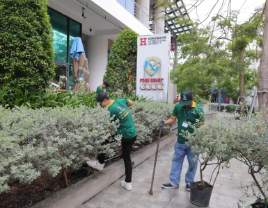 Thiết Kế Sân Vườn