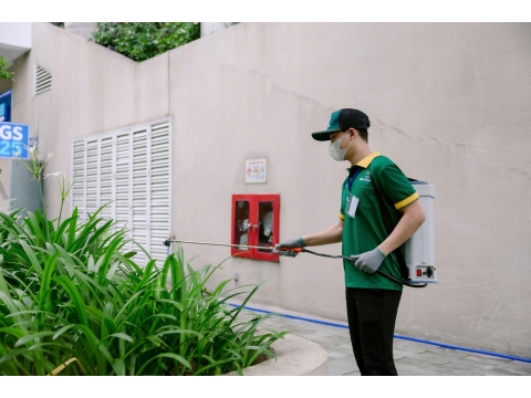 Công Trình cây Xanh Đại Học Hồng Bàng