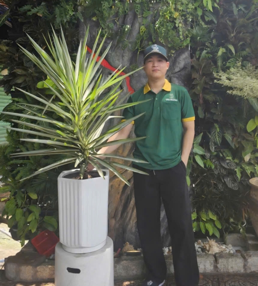 Cây Dứa Diệp Tiễn
