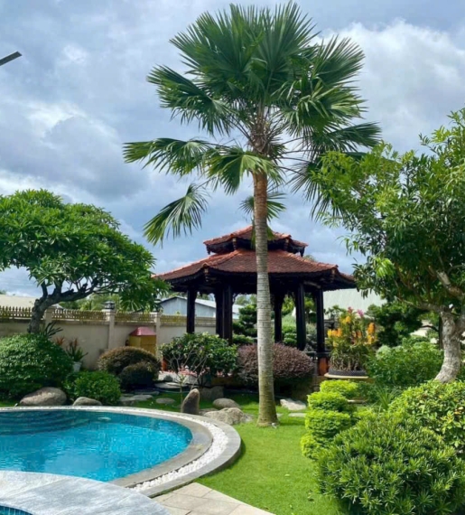 Kè đỏ mỹ